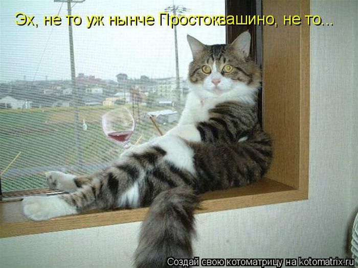 Мысли вслух :)