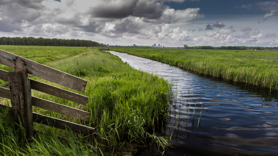 Nature by Bob Morren on 500px.com