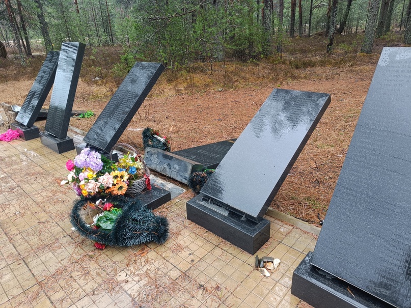 Костромской разрушитель воинского мемориала покаялся перед камерой в полиции