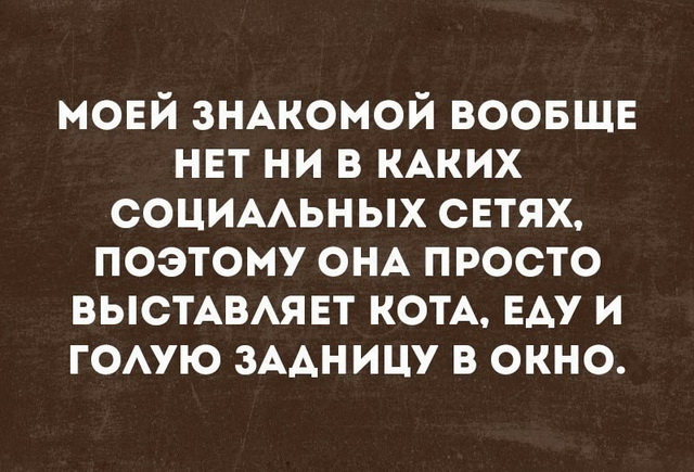 Прикольные цитаты и истории (50 картинок) Прикольные цитаты и истории (50 картинок)
