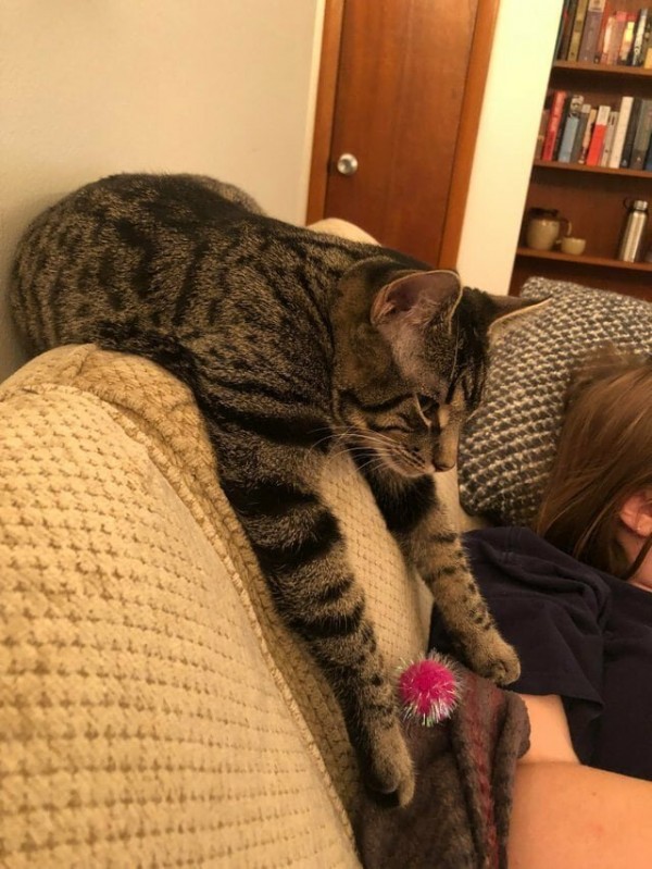 Жена посмотрела на нас тоскливыми глазами и снова взвыла: -Я-а-а-й-ц-а-а. -Что яйца? -Оторва-а-а-ались... Жена посмотрела на нас тоскливыми глазами и снова взвыла: -Я-а-а-й-ц-а-а. -Что яйца? -Оторва-а-а-ались... истории из жизни