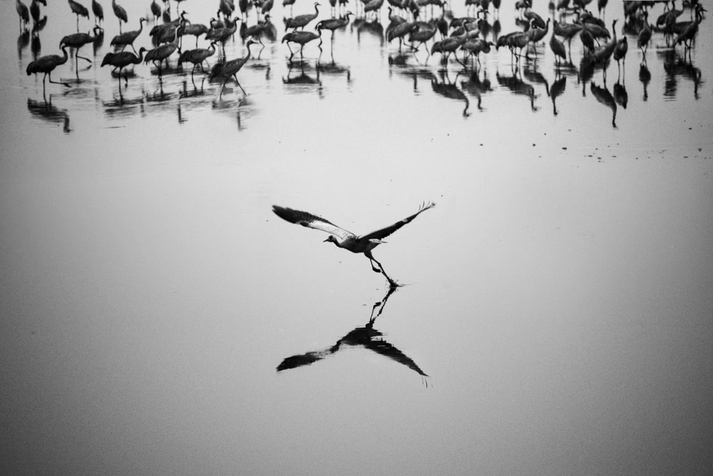 Магические чёрно-белые фотографии Гая Коэна