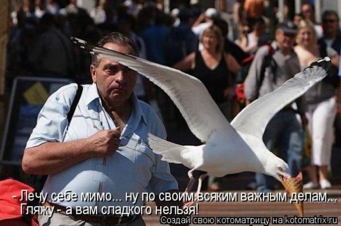 Мысли вслух :)