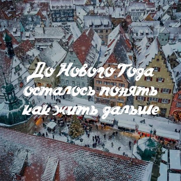 Прикольные картинки и фотки