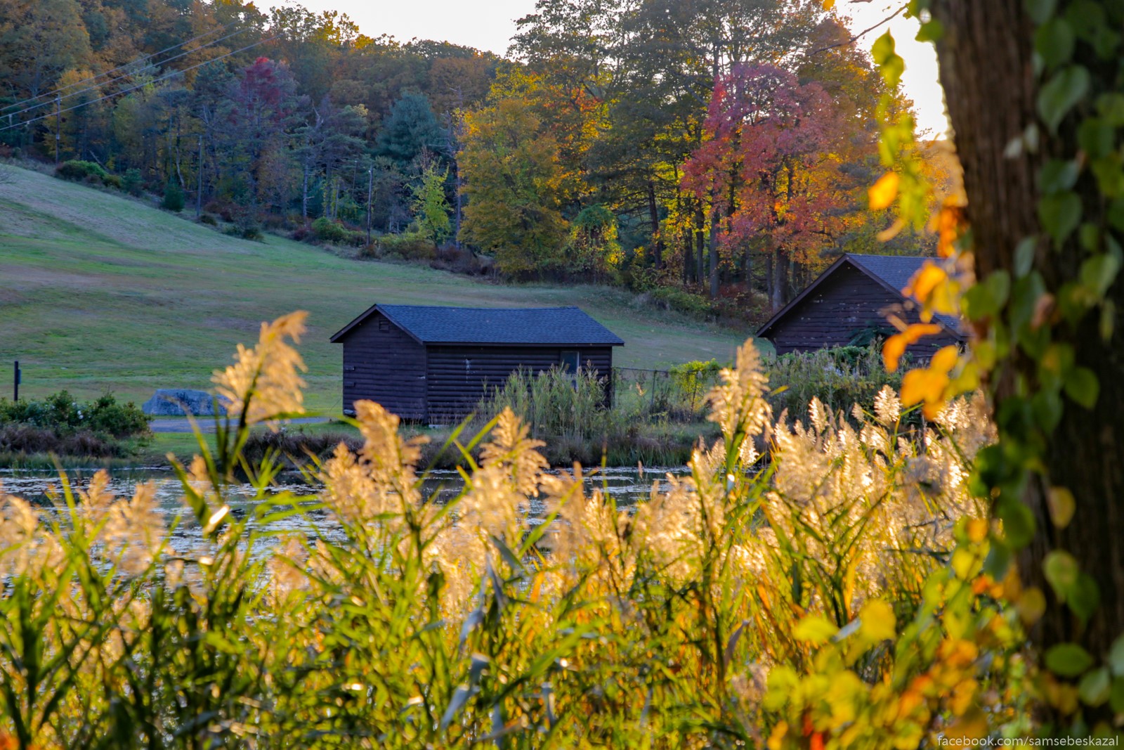 Осень в Харриман-стейт-парке Осень в Харриман-стейт-парке города,история,путешествие,самостоятельные путешествия,страны,туризм,турист