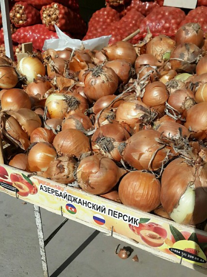 Прикольные надписи и объявления