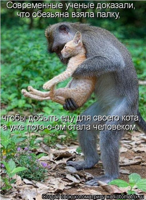 Мысли вслух :)