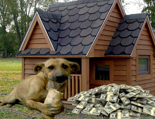 Пять странных завещаний 