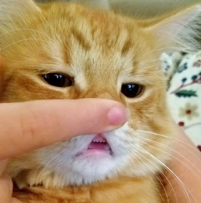 Фотоподборка 