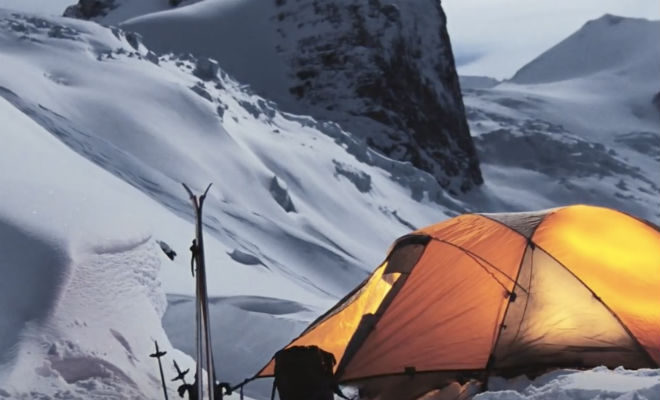 Лесник и волк – история дружбы Лесник и волк – история дружбы