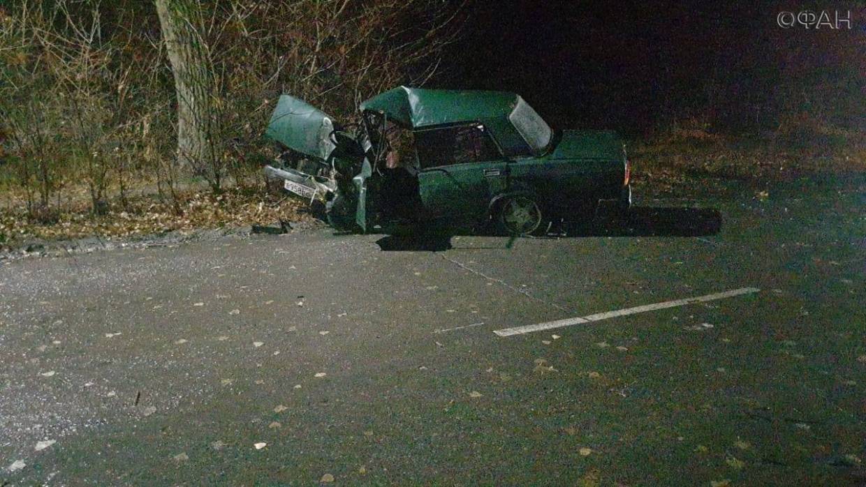 Водитель погиб после столкновения с деревом в Ростовской области