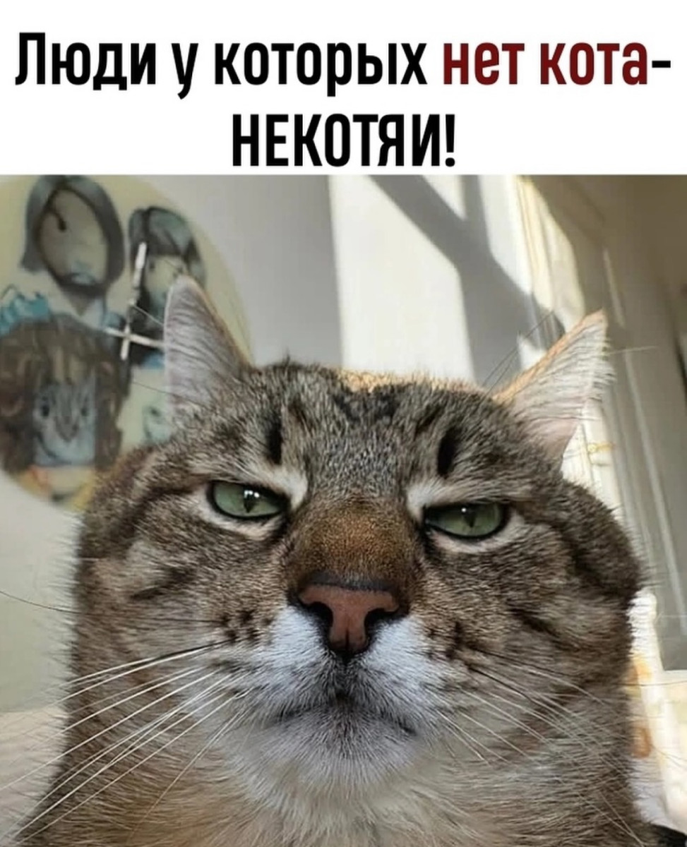 Поскольку всем не угодишь, то ограничимся собой Поскольку всем не угодишь, то ограничимся собой