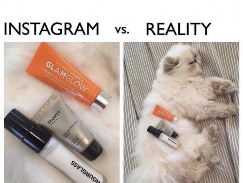 Фото-приколы выходного дня Фото-приколы выходного дня смешные картинки