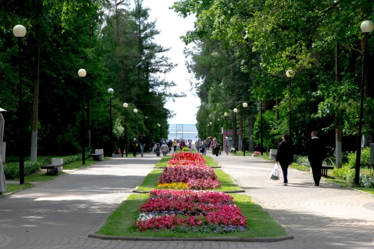 Парк В Зеленогорске Фото