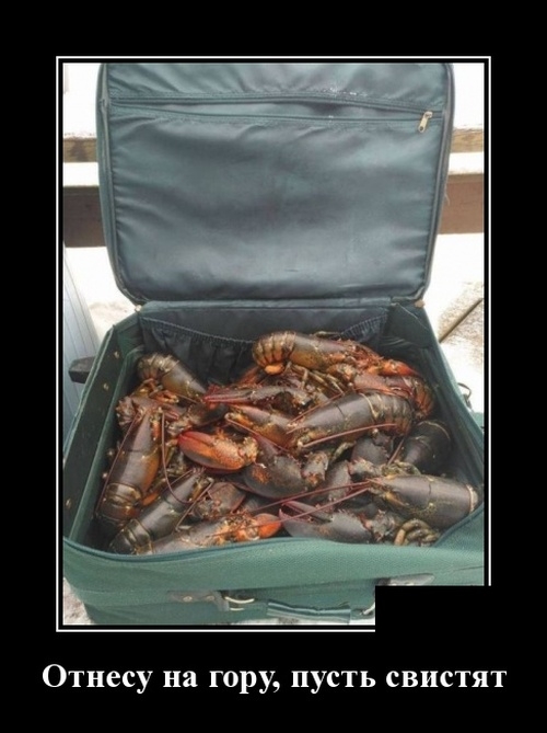 Демотиваторы майские Демотиваторы майские