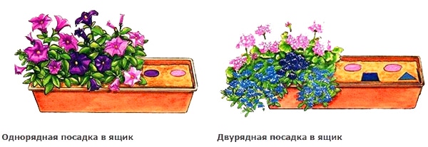 ДЛЯ УЧАСТКА Самые неприхотливые цветы для балкона цветущие все лето поделки для сада,полезные советы,разное