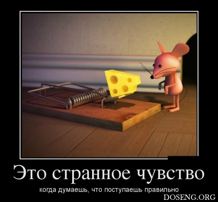 Демотиваторы
