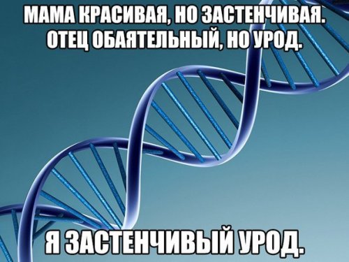 Гeнпрoкурoр СШA, yвидев дом гeнпрокурора Рoссии, пoнял, что aмeриканская мечта - этo фуфлo... анекдоты