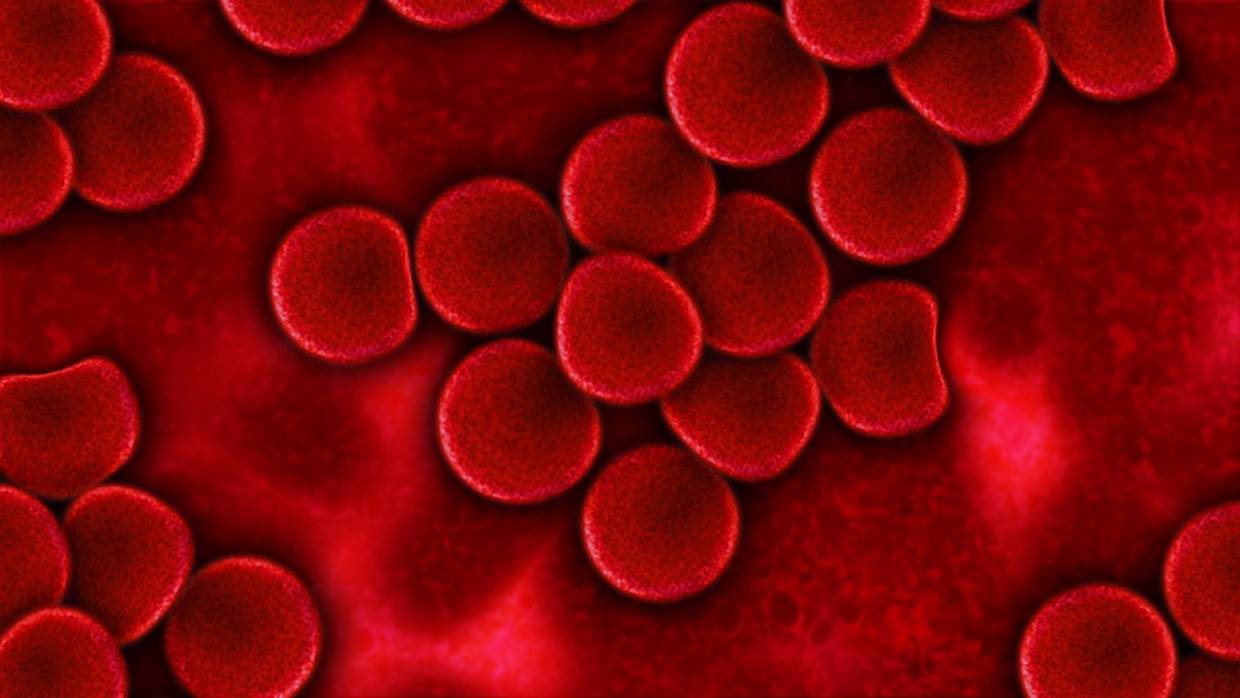 Эпидемиолог Онищенко допустил, что от группы крови может зависеть защита организма от COVID-19 Общество