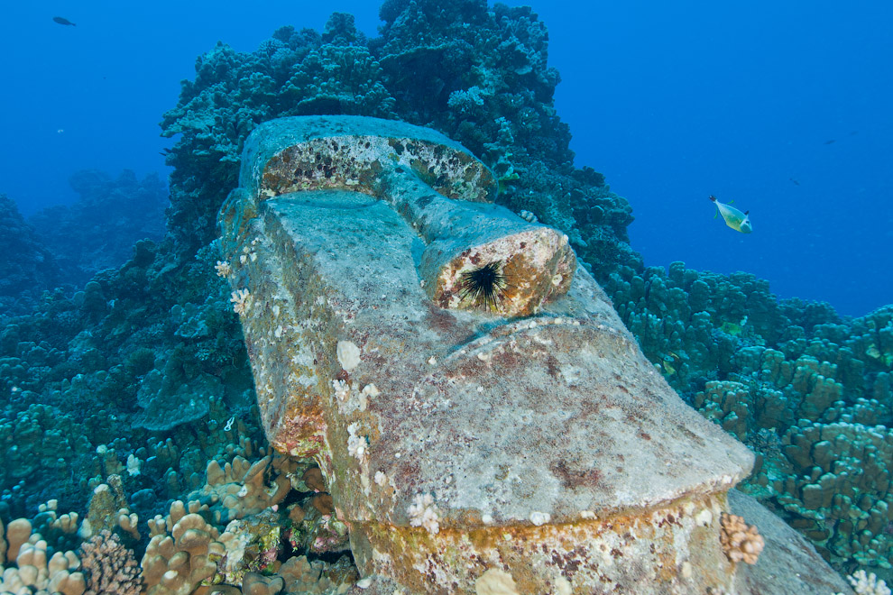 Подводные миры deCaires, Jason, скульптуры, более, всего, Нептуна, Канкуна, является, метров, подводного, «Безмолвная, эволюция», Национальном, искусственный, Пасхи, Парке, Водном, можно, берегов, глубине