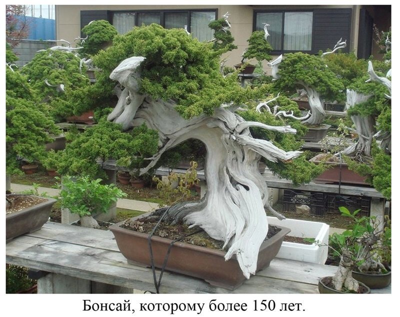 Вы видели всё в жизни? 