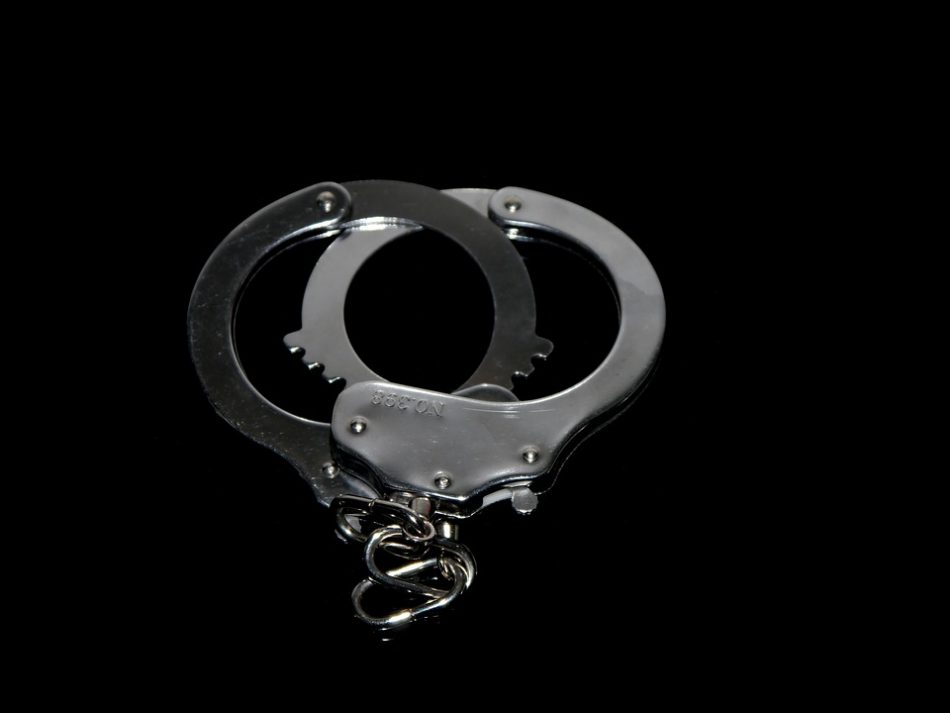 В Северо-Западном округе Москвы полицейские задержали подозреваемого в кражах автомобильных номеров