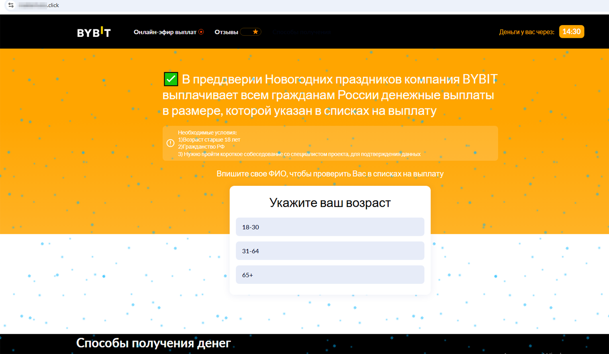 fake_newyear_payments_2024