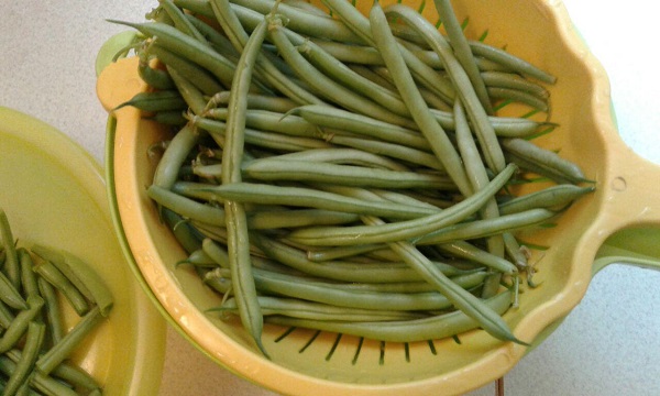 блюда со стручковой фасолью