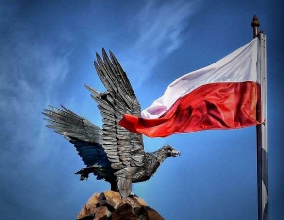 Россия не знает, как ответить на варварство поляков | Русская весна