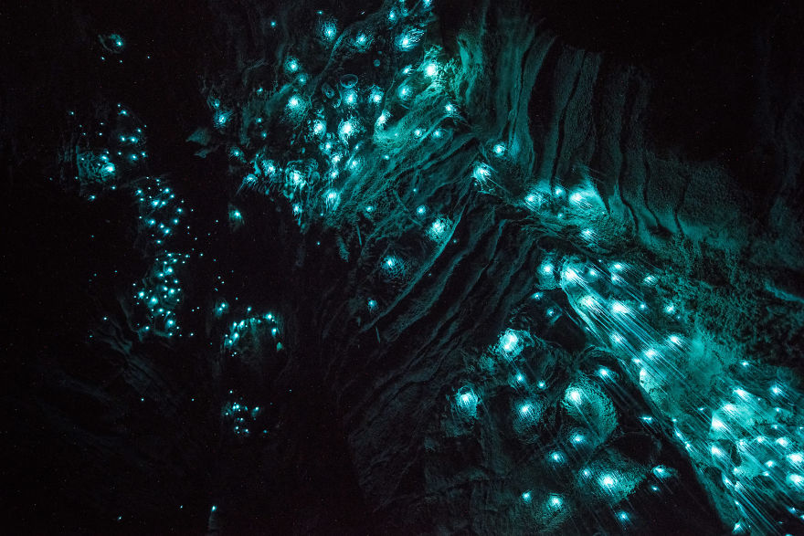 светлячки в пещере Новой Зеландия