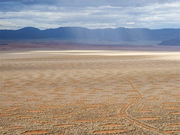 Самые популярные гипотезы происхождения &quot;Ведьминых кругов&quot; посреди пустыни Намиб