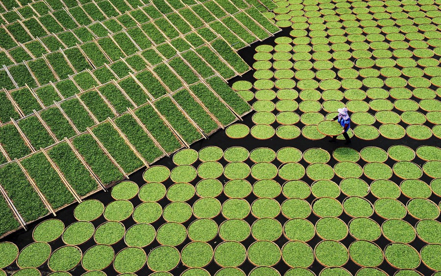 Поразительные снимки с конкурса Sony World Photography Awards 2017