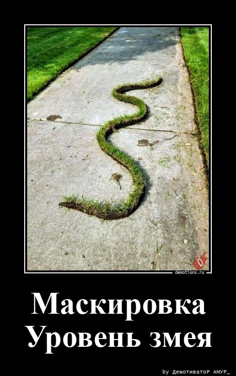 Демотиваторов прикольных сборник: «Заведи невесту, говорили они…» 