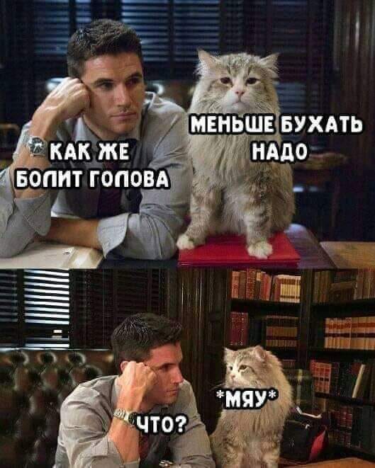 - Ну, как у тебя с женихом, доченька?  - Да, спорим по мелочам... Весёлые,прикольные и забавные фотки и картинки,А так же анекдоты и приятное общение