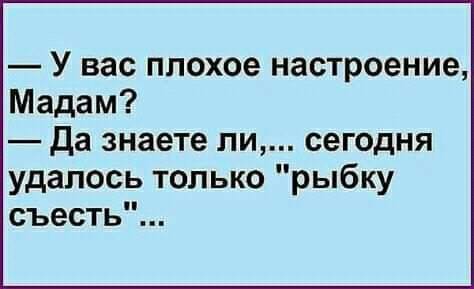 Папа, мама водит машину лучше, чем ты! Папа, мама водит машину лучше, чем ты! анекдоты