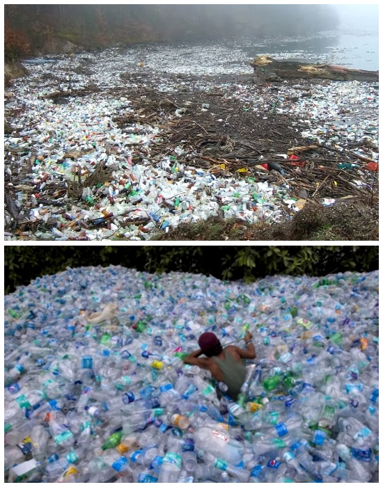 Житель Канады из пластиковых бутылок построил деревню