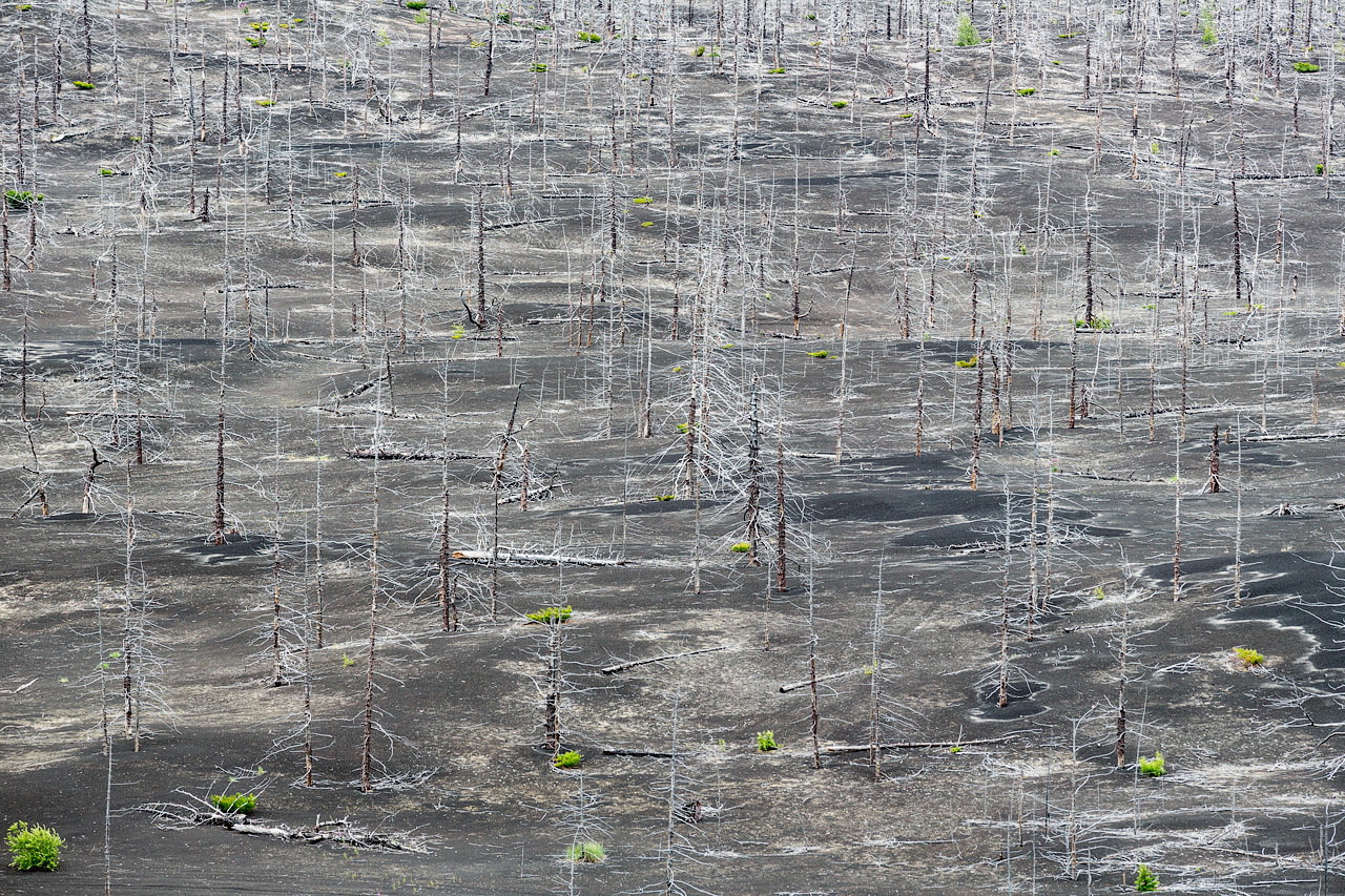 Камчатка Камчатка путешествие,Россия,туризм