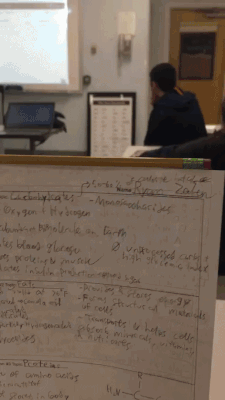 Подборка гифок Подборка гифок смешные картинки