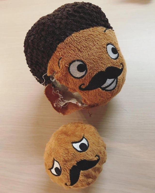 25 снимков, которые надо увидеть хотя бы раз в жизни природа