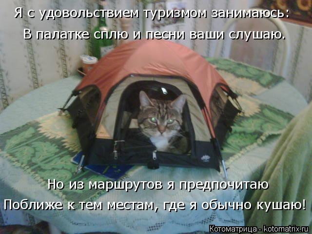 Котоматрица: Я с удовольствием туризмом занимаюсь: В палатке сплю и песни ваши слушаю. Но из маршрутов я предпочитаю Поближе к тем местам, где я обычно ку