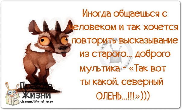 Прикольные высказывания и афоризмы в картинках о работе, фото аватарку