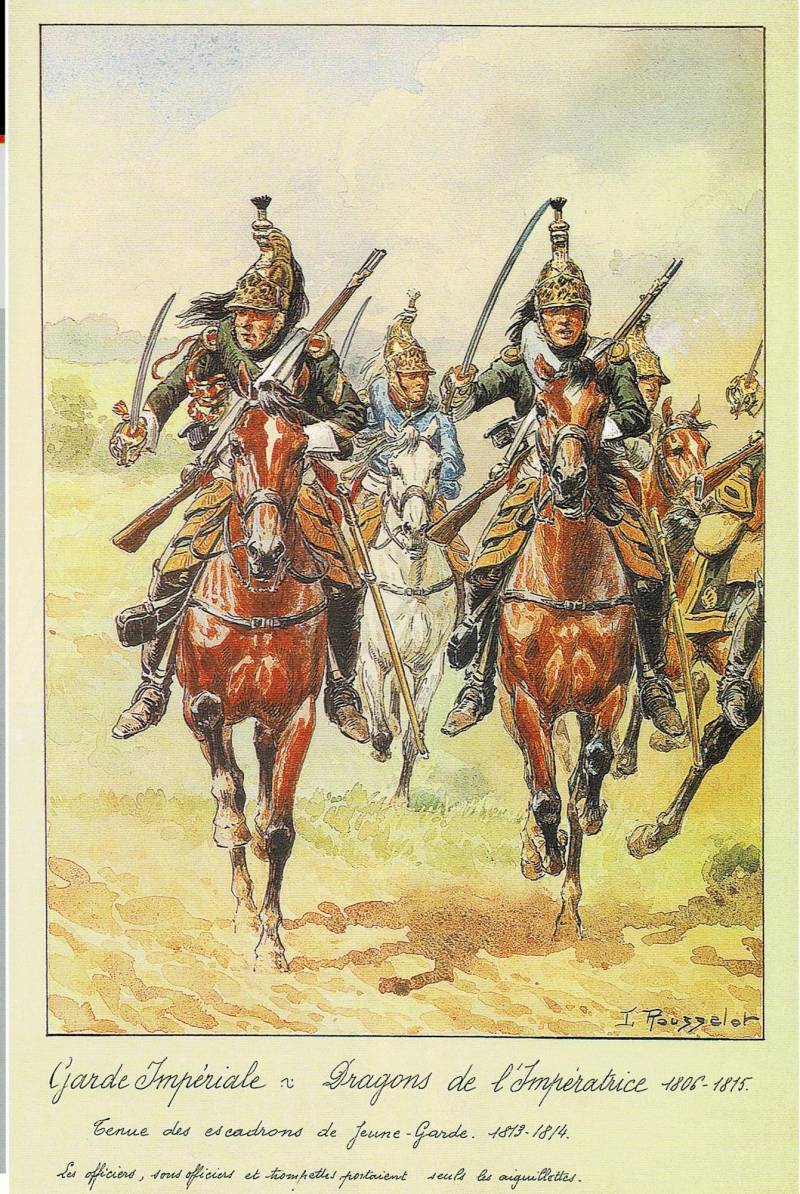 «Наши палаши – чудо хороши!» Сабли и палаши 1812 года оружие