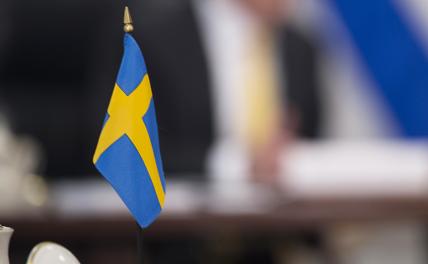 Швеция мечтает повоевать с Россией, забыв про Полтаву