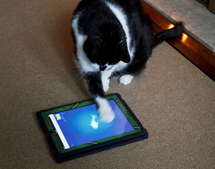 как технологии изменили жизнь кошек