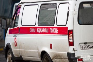 Фото: Едва не загрызли: собаки напали на охранника в ХМАО 1
