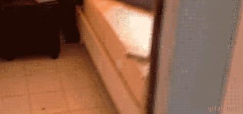 Классные гифки для хорошего вечернего настроения Классные гифки для хорошего вечернего настроения зачетные гифки