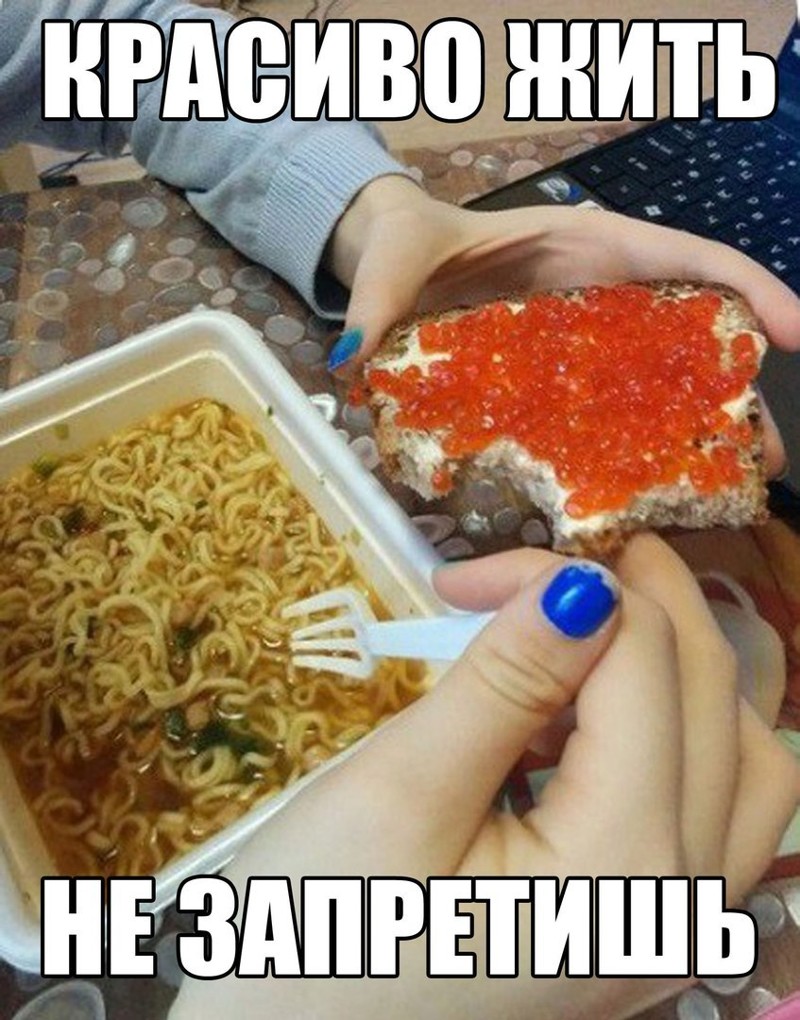 Смешные картинки с надписями прикол, юмор