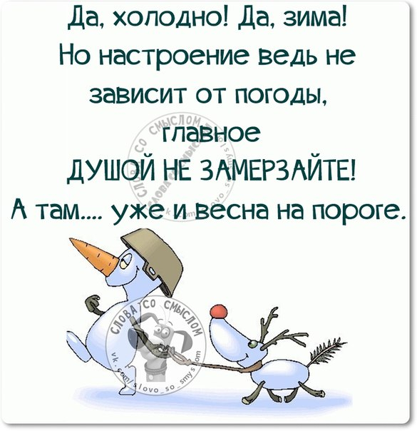 - Что главное в боксе?- Шубы!- Что?! Какие еще шубы?!- Шелые передние шубы! веселые картинки