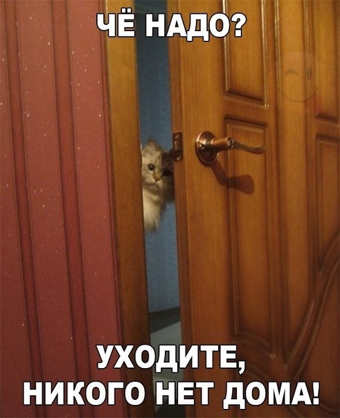 Ржачные и веселые картинки с надписями из нашей жизни Ржачные и веселые картинки с надписями из нашей жизни