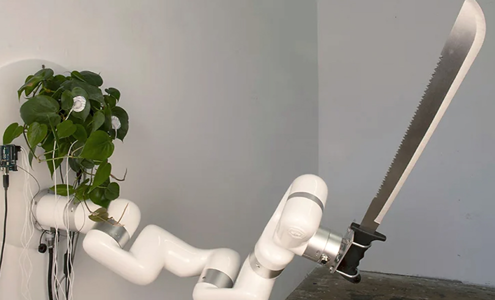Инженер подключил руку-робота к растению и на видео заснял, как цветок внезапно начал управлять механизмом